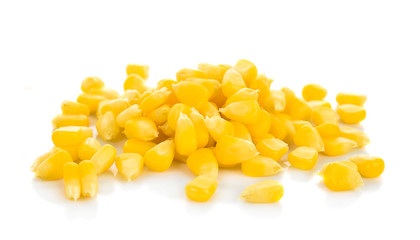 Maize (con) isolated on white background