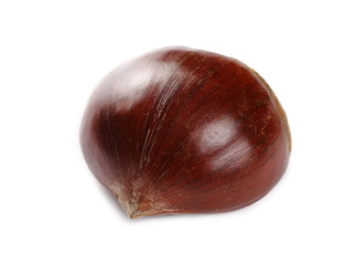 macro edible chestnut isolated on white