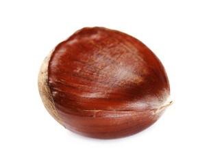 macro edible chestnut isolated on white