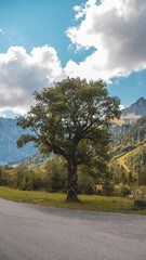 Smartphone HD Wallpaper of beautiful alpine view at the Big Maple Ground - Austria