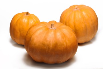 Autumn pile of Pimpkins