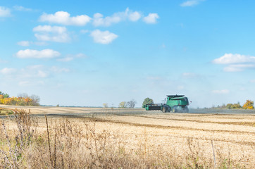 Green harvester in the field cleans crops