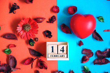 Red heart and dry red flowers and wood cube calendar decorate on background half blue and red for valentine theme