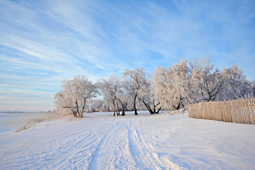 Winter landscape