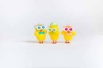 Easter decoration with three funny yellow chicks isolated on white background. Easter holiday concept.