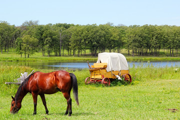 Horse and a covered wagon in the prairie 