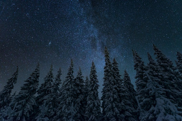 Starry winter night - Powered by Adobe