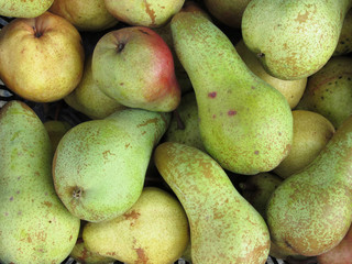 Fresh green organic pears as a background . View from above