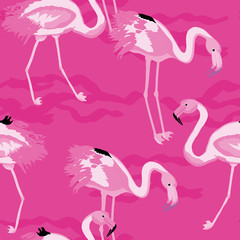 Fototapeta premium flafla