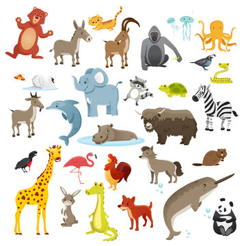 Cartoon animals collection