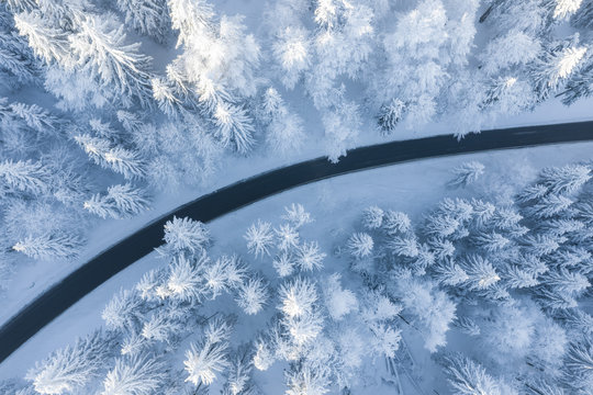 Aerial view of a winding road through snow covered trees, Gaisberg, Salzburg, Austria