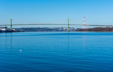 Obraz premium bridge in the harbor