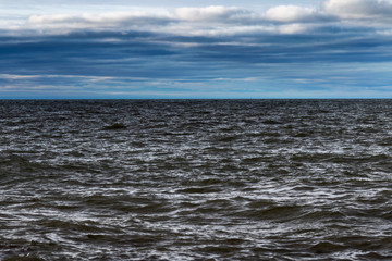 Gray Baltic sea.