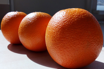 Three juicy oranges lie in a row on a table lit by the bright morning sun