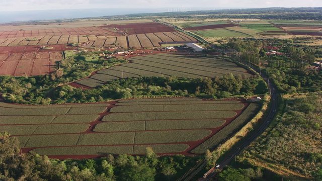 Oahu, Hawaii circa-2018.  Aerial view of Pineapple farms and Dole Plantation.  Shot with Cineflex and RED Epic-W Helium. 