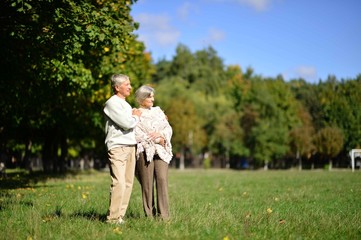 Fototapeta premium Portrait of senior pair in park at sunset