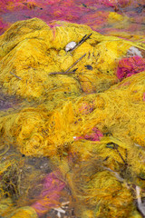 Colorful fishing nets by the lake