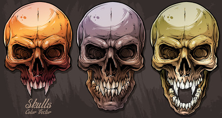 Detailed graphic realistic cool colorful human skulls with sharp canines. On gray grunge background. Vector icon set.