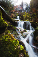 Wasserfall mit Bäumen und Moos im Erzgebirge