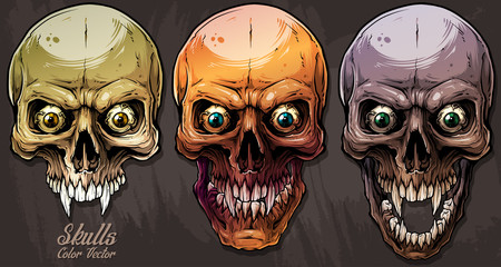 Detailed graphic realistic cool colorful human skulls with sharp canines and cracks. On gray grunge background. Vector icon set.