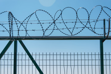 Barbed wire on the fence.