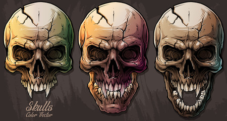 Detailed graphic realistic cool colorful human skulls with sharp canines and cracks. On gray grunge background. Vector icon set. - obrazy, fototapety, plakaty