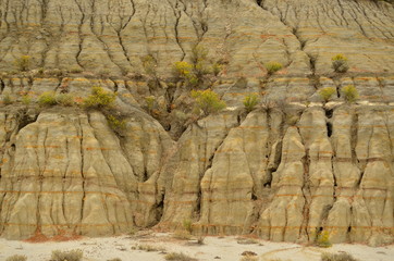 Erosion creates cracks and other interesting formations in badlands of North Dakota.