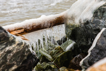 long icles frozen by branch