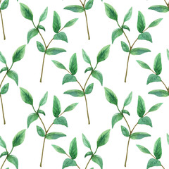 Green branch. Seamless pattern. Hand drawn watercolor illustration.