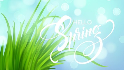 Frash Spring green grass background. Vector illustration