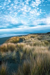 Samoa Beach, CA