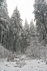 Wintereinbruch Deutschland