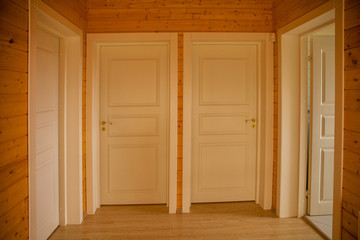 Obraz na płótnie Canvas Interior doors