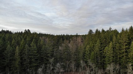 Obraz premium Landscapes