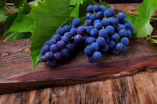 Bunch of blue Isabella grapes on a wooden board