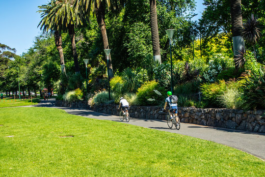 CICLOVIA