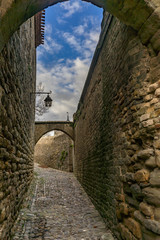 Naklejka premium Fortified medieval city of Carcassonne in France.