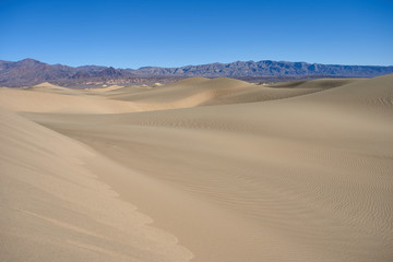 Fototapeta na wymiar Mesquite Flat Sand Dunes in Death Valley National Park, California.