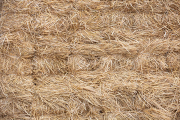 Pile bales of hay © Mikhail Pankov