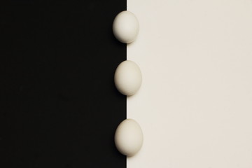 White chicken eggs along border of contrasting black and white background. Minimalism style.