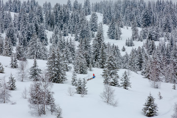Snowed forest in Alps. France