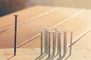 Many nails and one screw. The concept of the group and individualit
