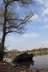 Paisaje Lago