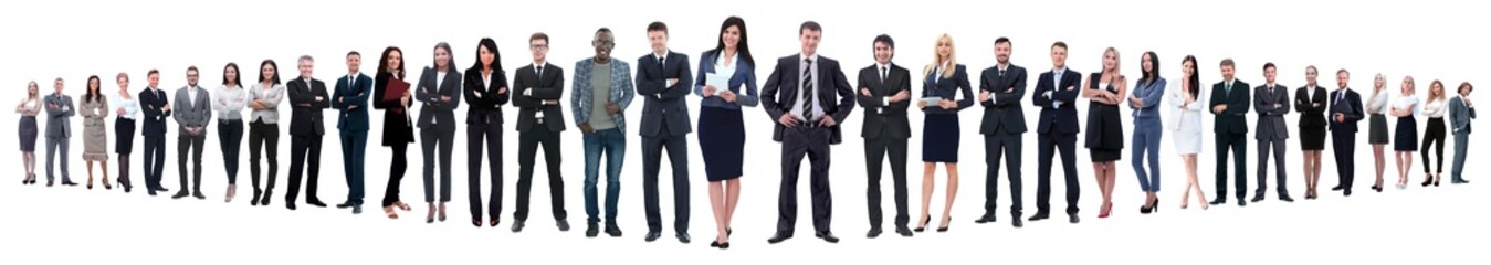 panoramic photo of a group of confident business people.