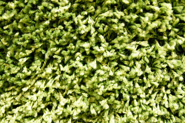 Carpeting woolen hinge green tint