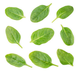 Set of spinach leaves close up on a white. The form of the top.