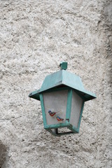 Lanterne vintage verte bleue avec oiseau en porcelaine