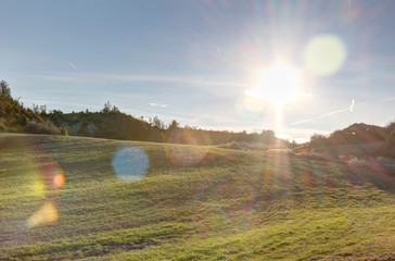 A scenic landscape with green grass grazing, bare branches trees and mountains in the Pyrenees at sunset, shot in backlight, in Bailo, Aragon, Spain