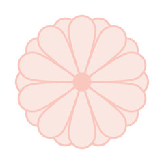Japanese Kiku Chrysanthemum flower vector symbol or emblem. Vector and Illustration logo