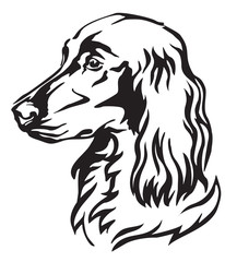 Decorative portrait of Dog Irish Setter vector illustration